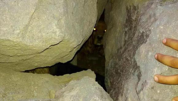 Terremoto en Chile: Luego de 4 días rescatan perrita atrapada bajo rocas