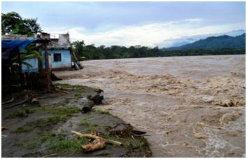 Pobladores de Tournavista dejan sus casas por temor al desborde del Pachitea