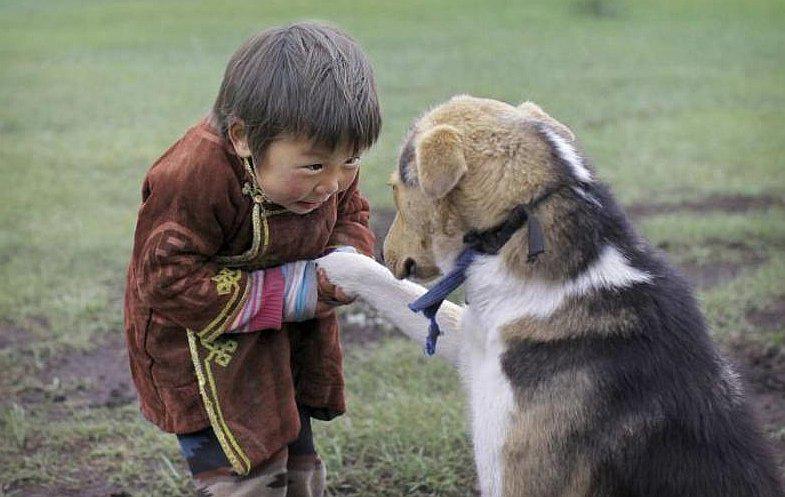 Los perros fueron domesticados en Europa y Asia