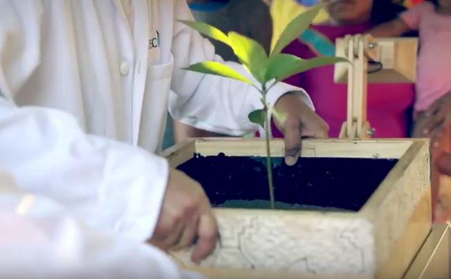 YouTube: Alumnos crean "Plantalámparas" para alumbrar pueblos de la selva (VIDEO)