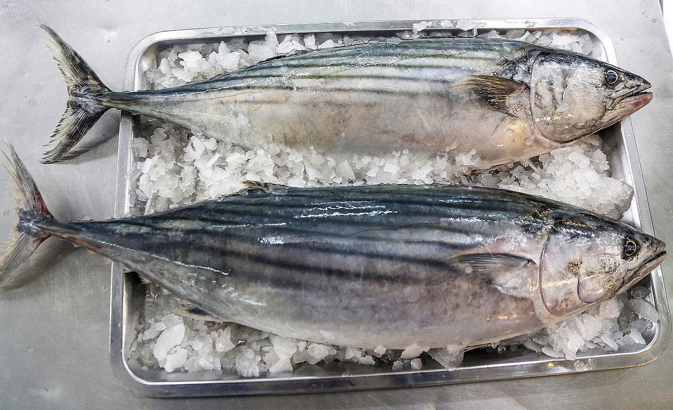 8 razones para comer pescado en Semana Santa