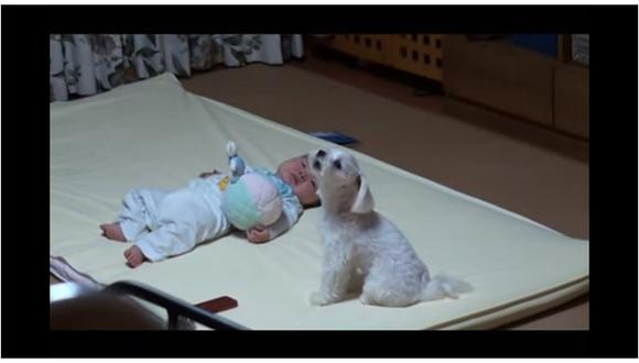 YouTube: Bebé lloraba desconsoladamente pero este perrito hizo algo que lo calmó (VIDEO)