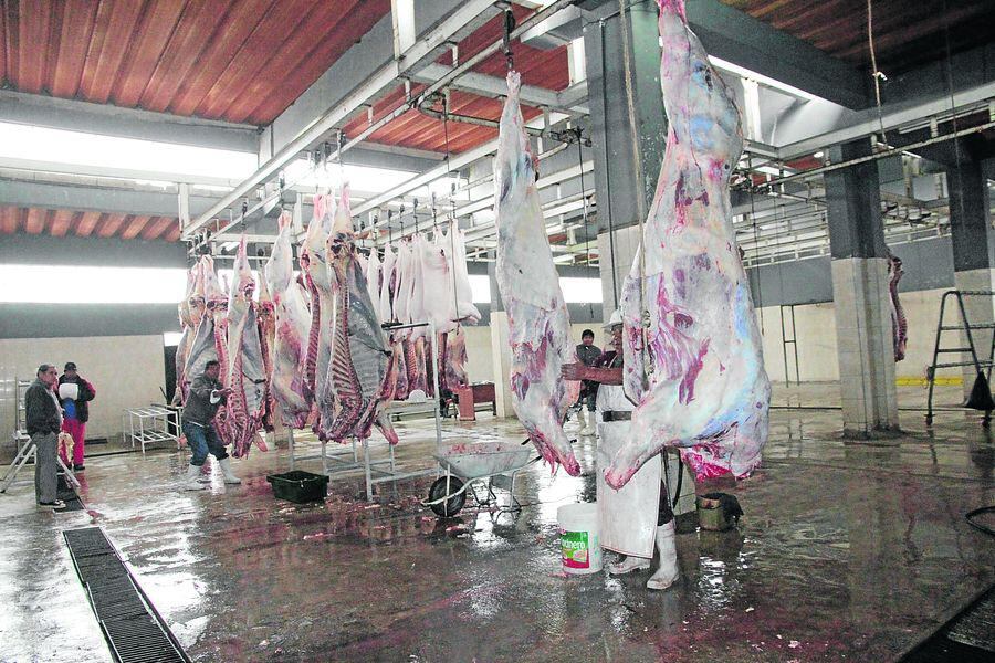 MPT concesionaría tres órganos desconcentrados por generar pérdidas