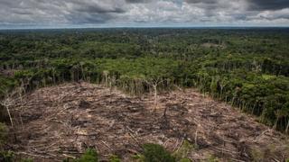 Impactos de los cambios en la Ley Forestal y de Fauna Silvestre en la Amazonía peruana