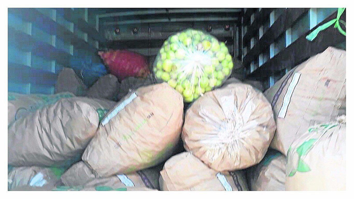 Intervenciones policiales evitan comercialización de limón ecuatoriano con plaga