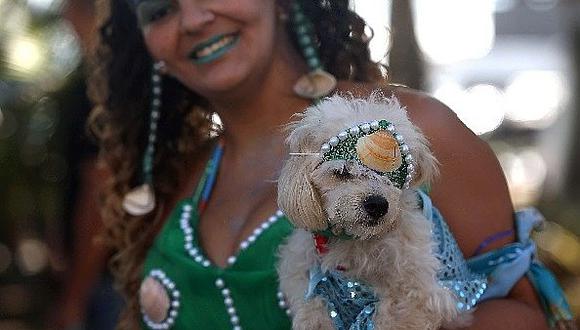 Río de Janeiro: Los perros también celebran el carnaval (FOTOS/VIDEO)