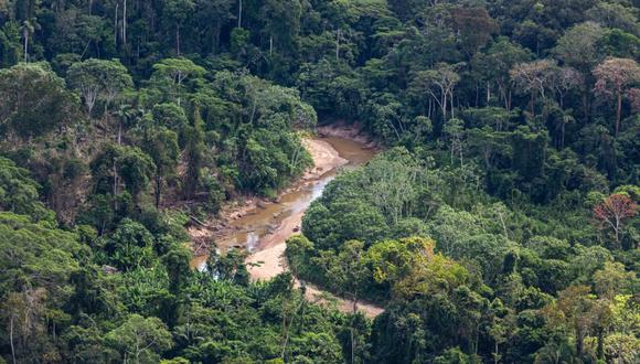 Las regiones de Loreto, Ucayali y Madre de Dios recibieron fondos adicionales para asegurar el uso sostenible de los recursos forestales del país.