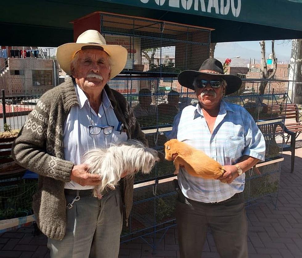 Juzgamiento y venta de comida en el Festival del Cuy en Cerro Colorado
