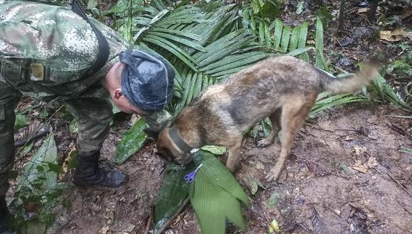 Una imagen distribuida por el ejército colombiano muestra a un soldado con un perro revisando unas tijeras encontradas en el bosque en una zona rural del municipio de Solano, departamento de Caquetá, Colombia, el 17 de mayo de 2023. (Foto by Handout/Ejército de Colombia/AFP)