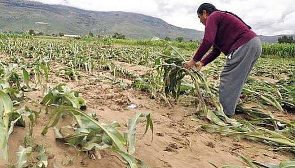Seguró Agrario Catastrófico será reestructurado y ampliará cobertura  
