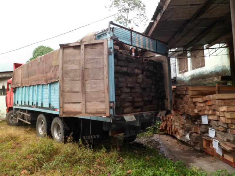 Incautan 12,500 pies tablares de madera ilegal