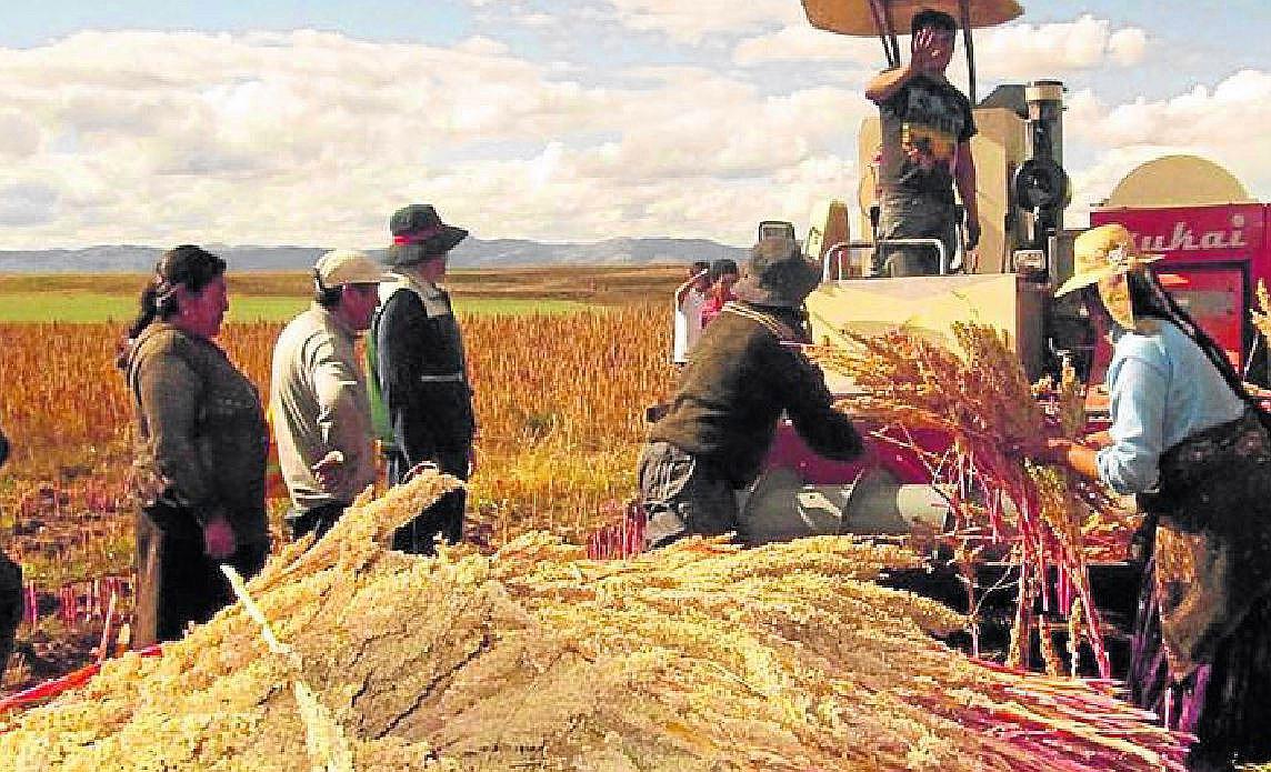 Exportación de alimentos crece más de 100% en la región Puno