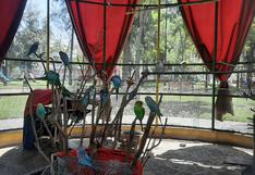 Correo te lleva de paseo: El parque Las Condes de Arequipa, un lugar lleno de aves y juegos para niños (VIDEO)