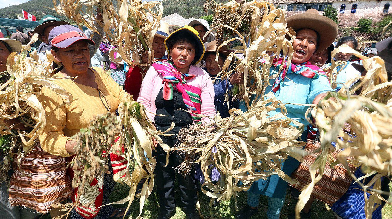 Agricultores cusqueños piden entre lágrimas que se declare agro en emergencia (FOTOS)