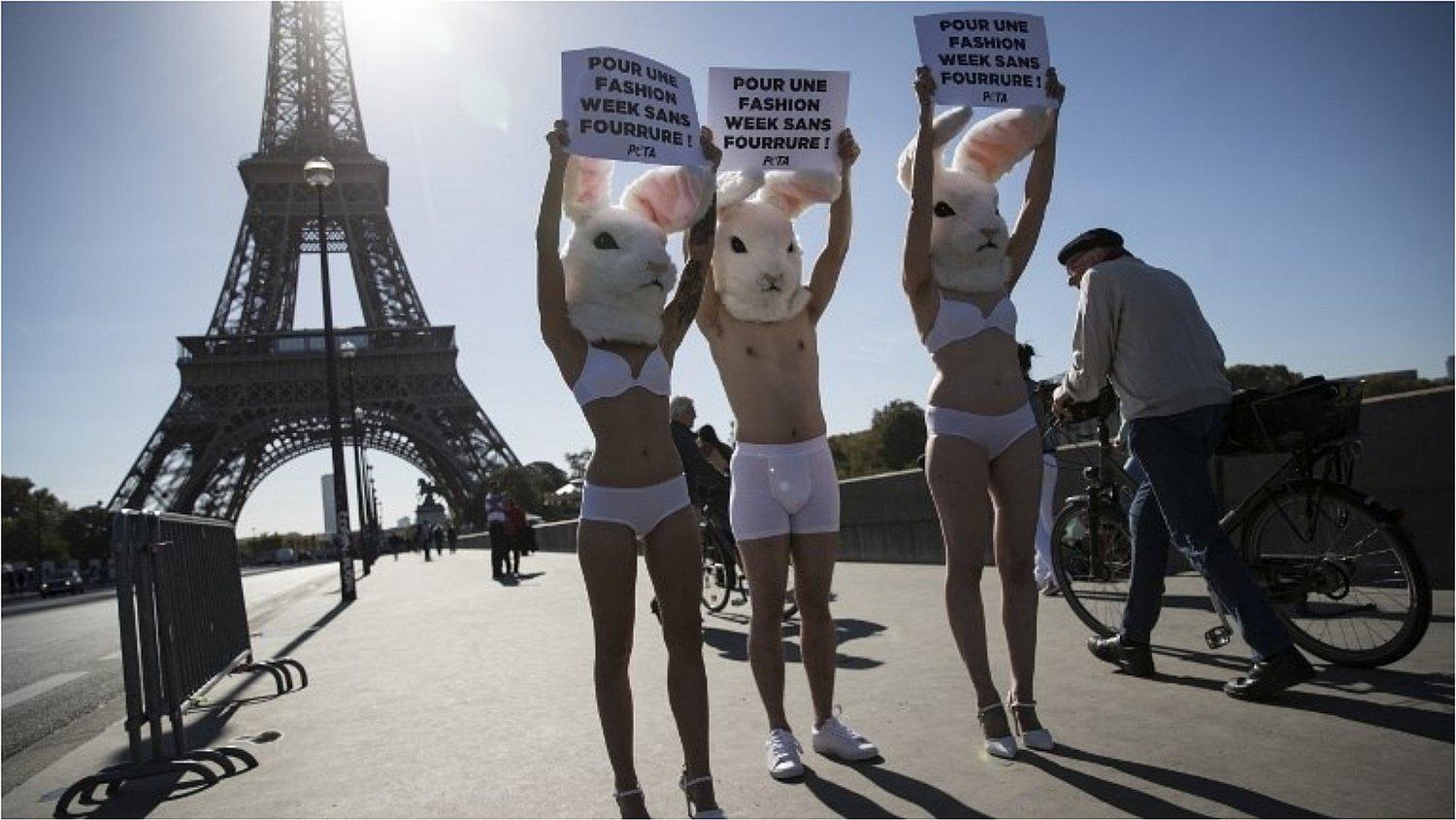 ONG animalista inicia cruzada para eliminar frases como "matar dos pájaros de un tiro" 