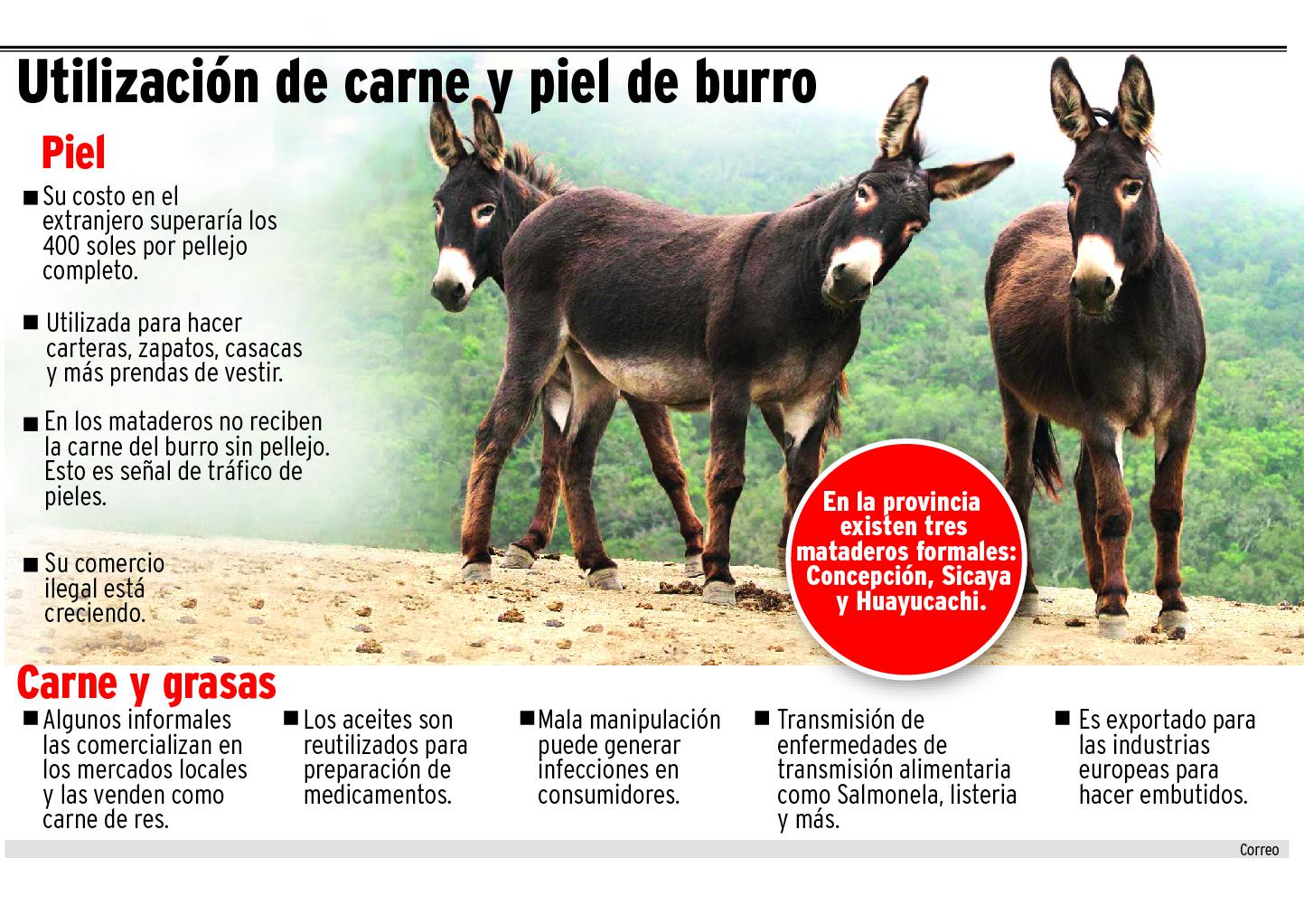Piel de burro se trafica de Junín  hacia China 