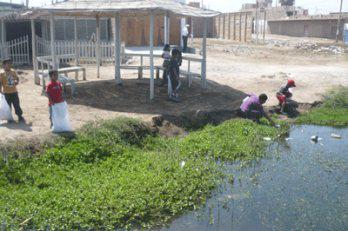 Vecinos limpian los humedales en Pisco