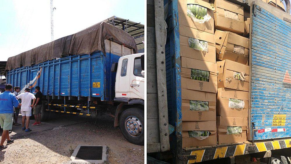 La Policía decomisa 8,000 kilos de pitahaya de contrabando en Suyo (VIDEO)