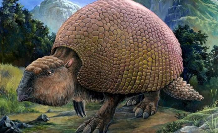 Uruguay: Hallan restos de gliptodonte gigante de hace unos 10.000 años
