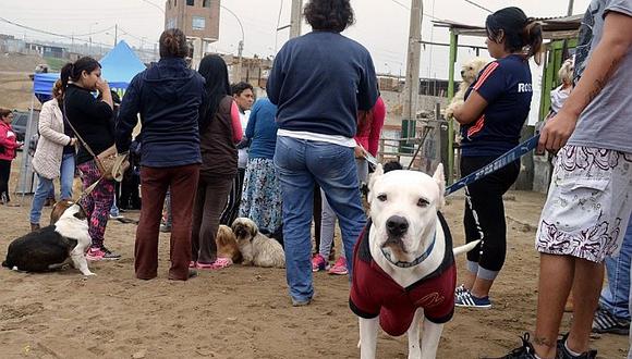 Ventanilla vacunó y desparasitó gratuitamente más de 1200 perros