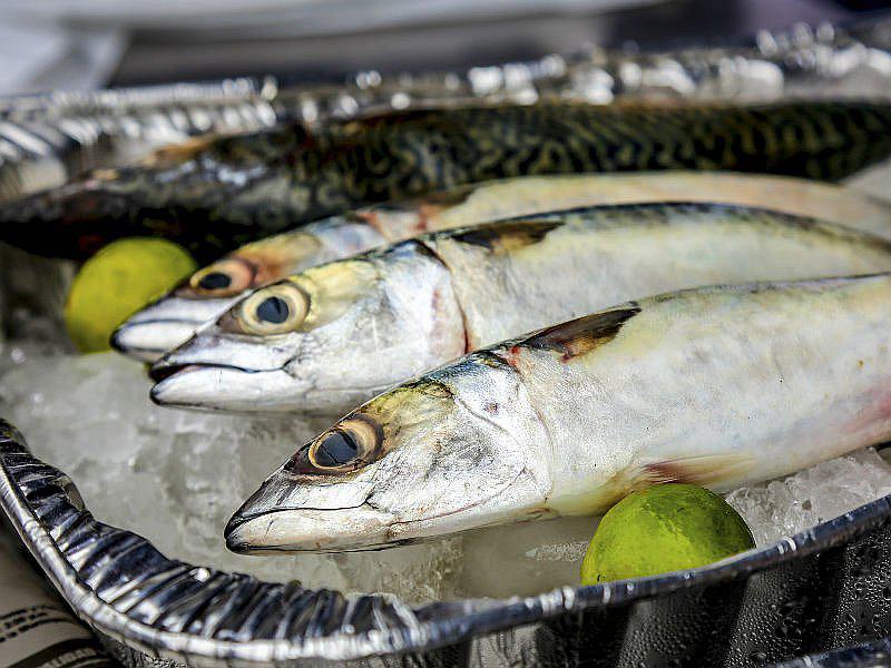 Produce establece cuotas de pesca para los recursos jurel y caballa en el 2018