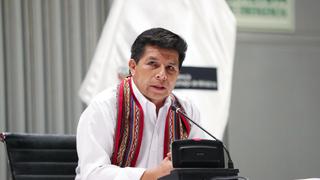 Pedro Castillo afirma que Minedu ya tiene listo proyecto que plantea ingreso libre a universidades públicas