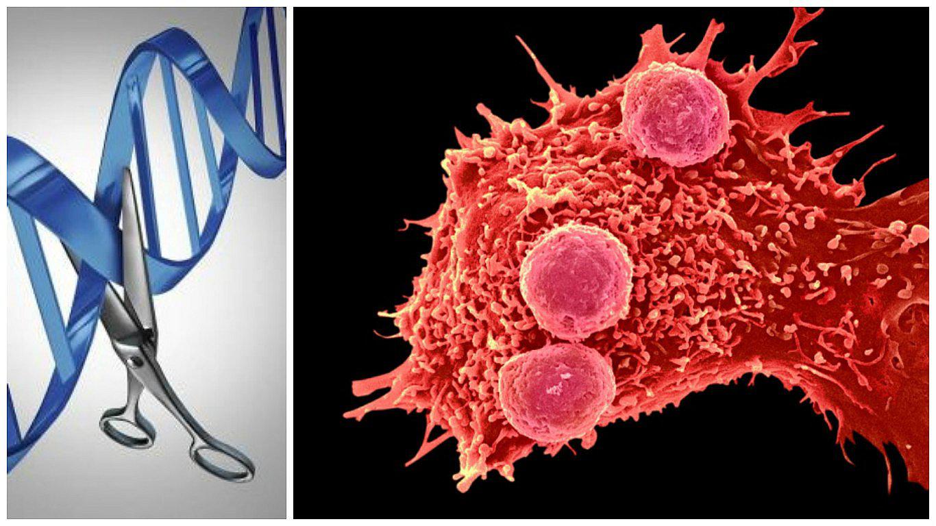 Prueban "superedición" de genes en humanos por primera vez para curar el cáncer