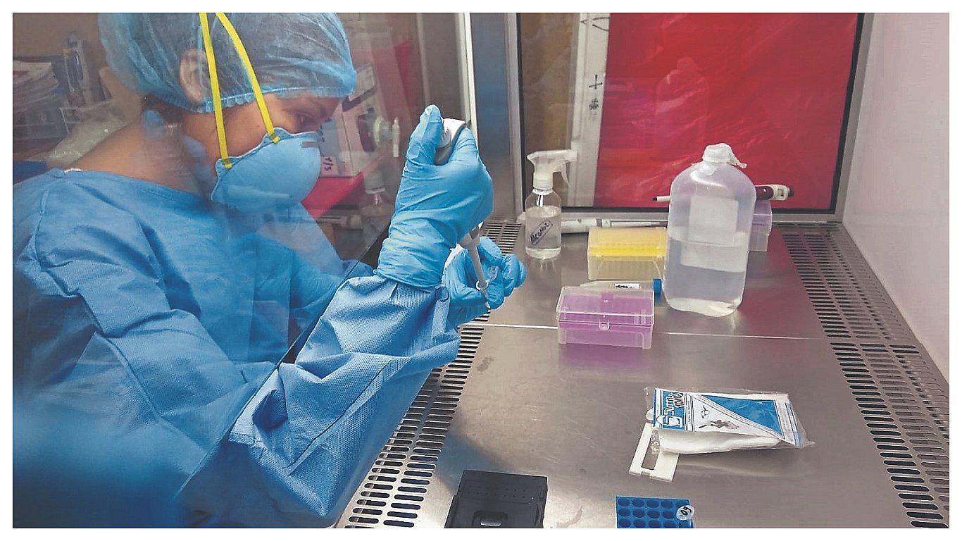 Investigadores tumbesinos buscan la cura del COVID-19
