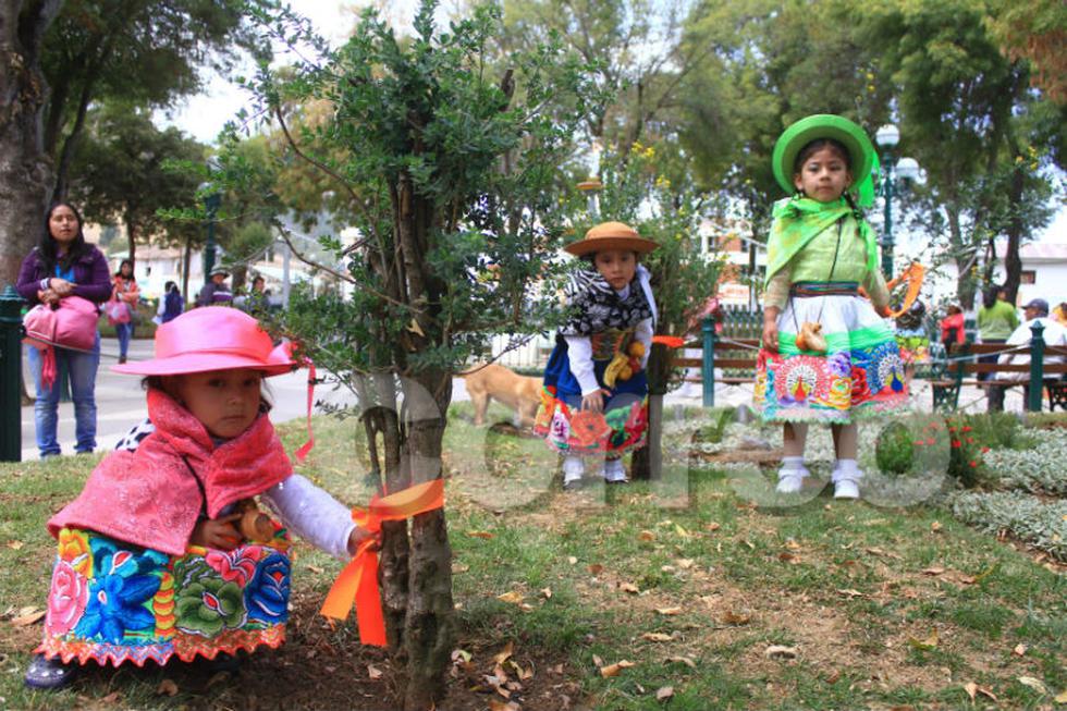 Niños "marcan" plantas en fiesta de santiago (FOTOS)