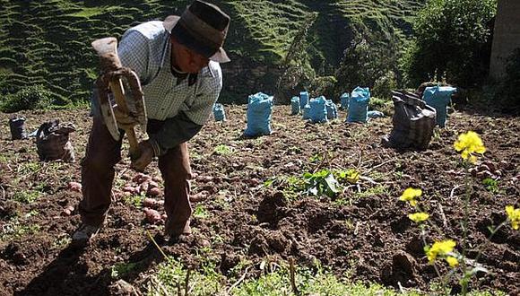 Gobierno transfiere S/ 15 millones para cultivos temporales en zonas afectadas