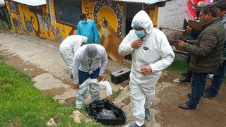 Pánico en Huancayo por la muerte de 11 animales silvestres en el zoológico municipal