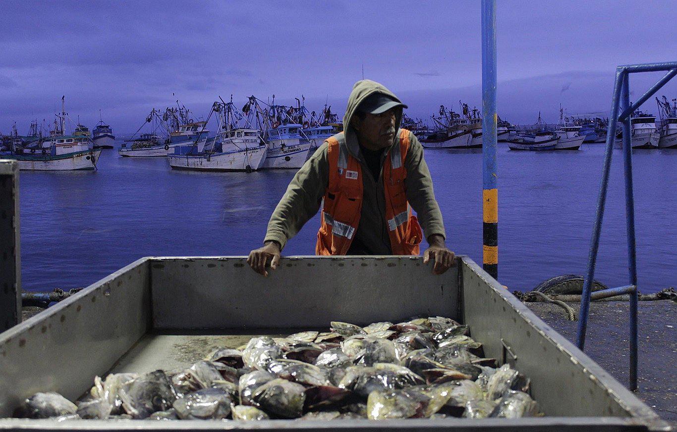Los hombres de mar de Puerto Nuevo