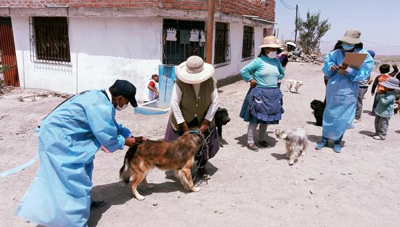 Realizarán vacunación antirrábica de canes en Arequipa. (Foto: Difusión)