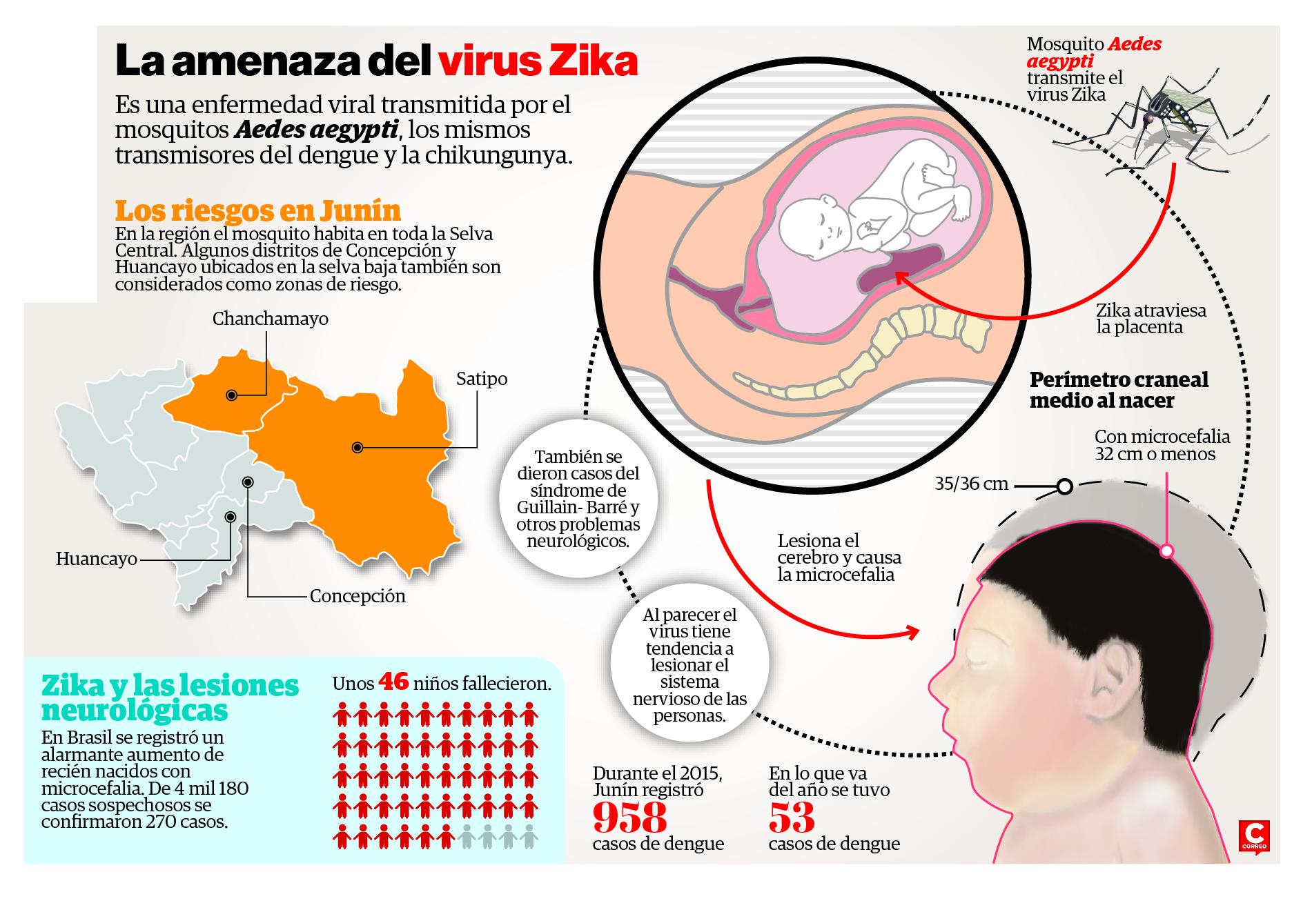 ​Zika llega al Perú y causa alarma en la población