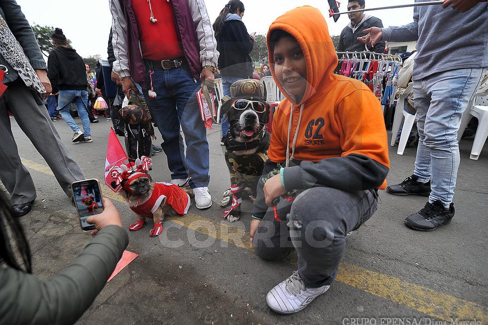 Parada Militar: así se vivió el tradicional desfile por Fiestas Patrias (FOTOS)