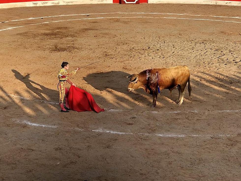 Corridas de toros en Festividad de la Virgen del Buen Paso de Caravelí (FOTOS)