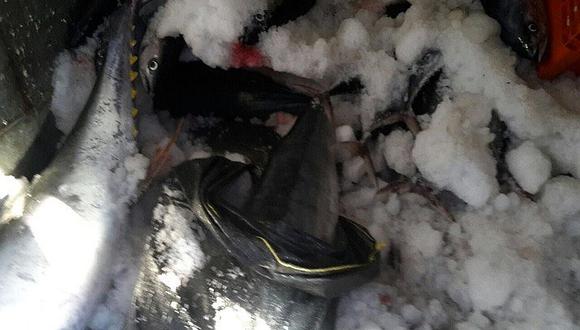 Tumbes: Incautan 353 kilos de pescado en Corrales 