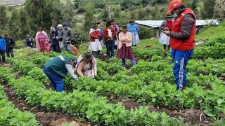 Ayacucho recibirá S/21 millones para más de 14 mil agricultores