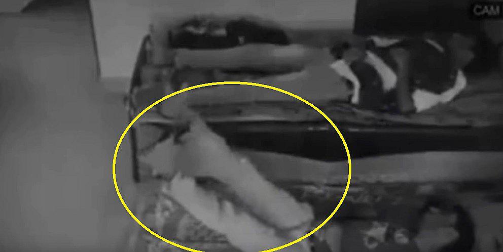 Cámara de seguridad capta a hombre que es arrastrado mientras duerme (VIDEO)
