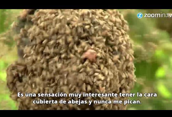 VIDEO: ​Conoce al encantador de abejas de la India