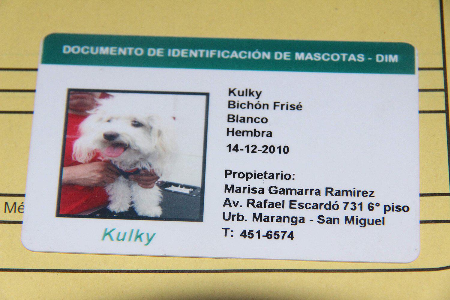 Buscan entregar DNI y colocar chips al 70% de mascotas de Huancayo