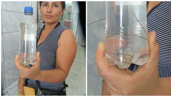 San Ramón: Encuentran gusano de más de 10 centímetros de largo en agua potable