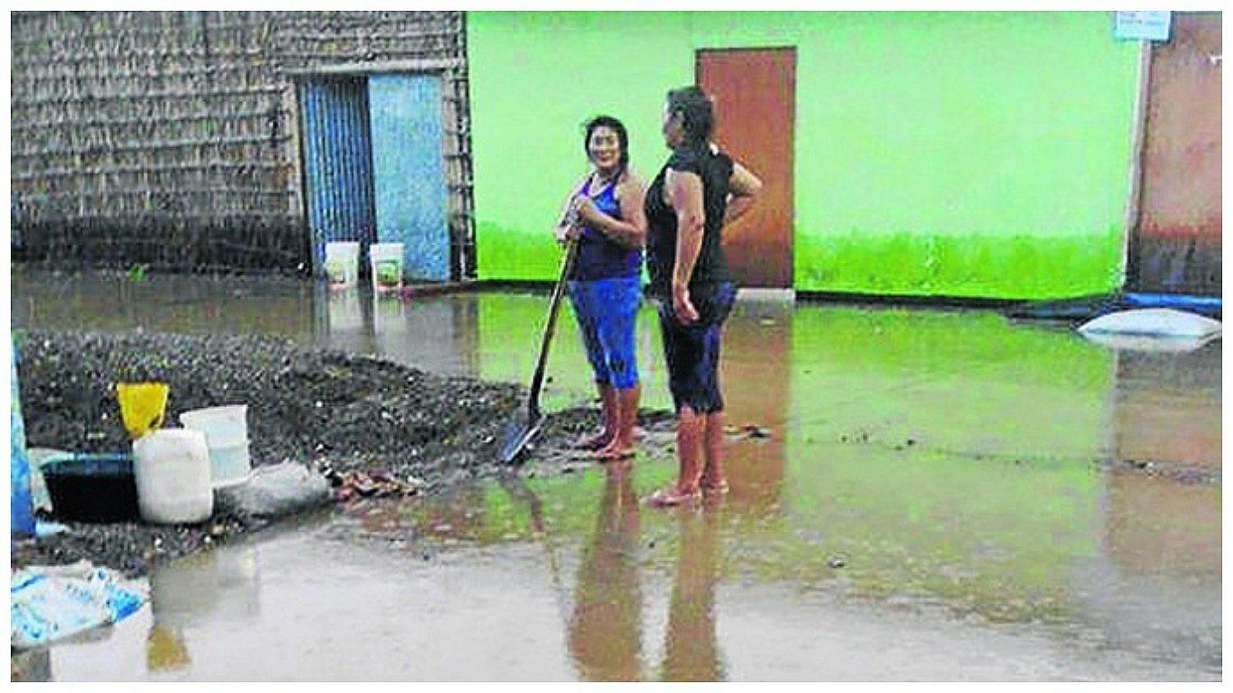 Lanzan campaña para eliminar los criaderos de zancudo en Sullana