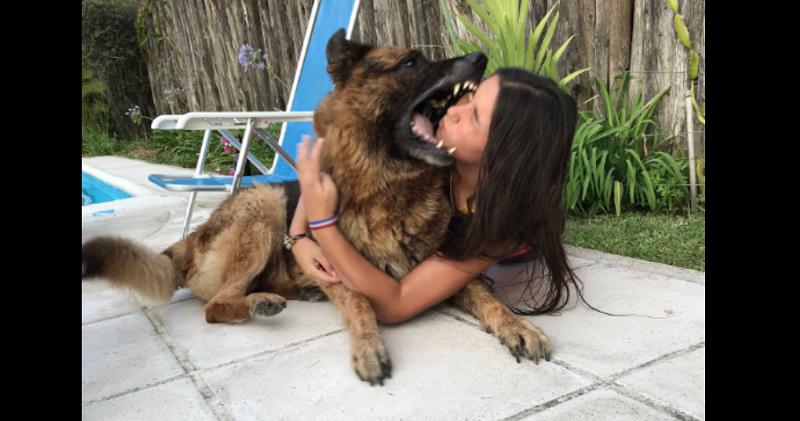 Perro (Foto: Facebook)