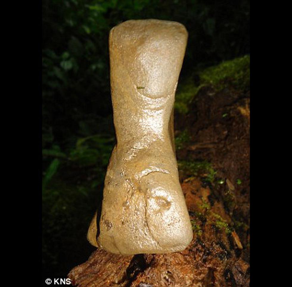 Buscan tumba de Atahualpa: Investigadores excavan en Ecuador