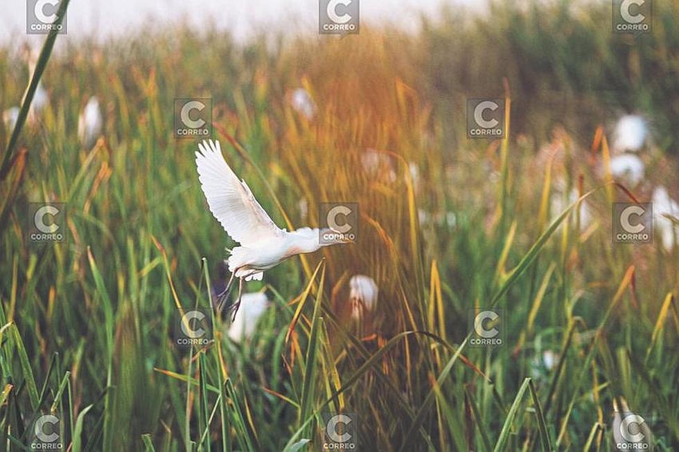 Servicios básicos y turismo, tarea para las autoridades de Camaná(FOTOS)