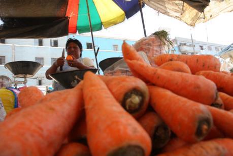 Promueven las zanahorias oscuras como cultivo alternativo