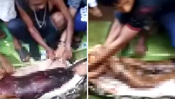 Indonesia: Mujer reportada como desaparecida fue engullida por pitón de 8 metros (FOTOS)