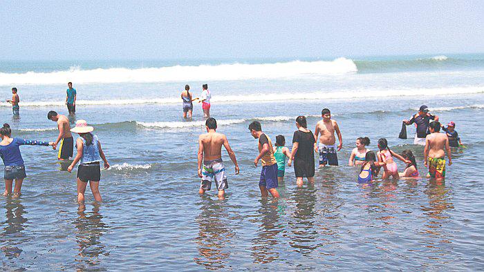 Encuentran gusanos en la playa Agua Dulce 