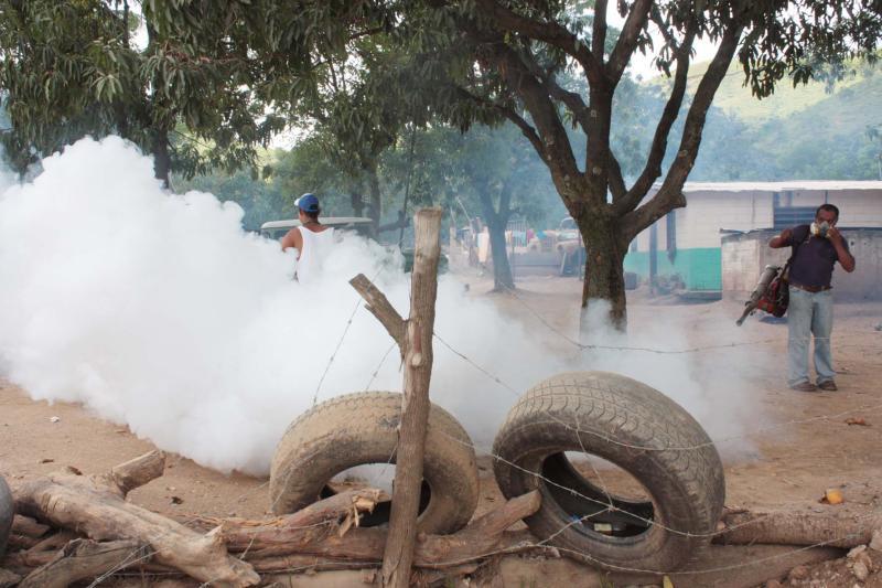 Diresa Huánuco en alerta epidemiológica ante dengue 